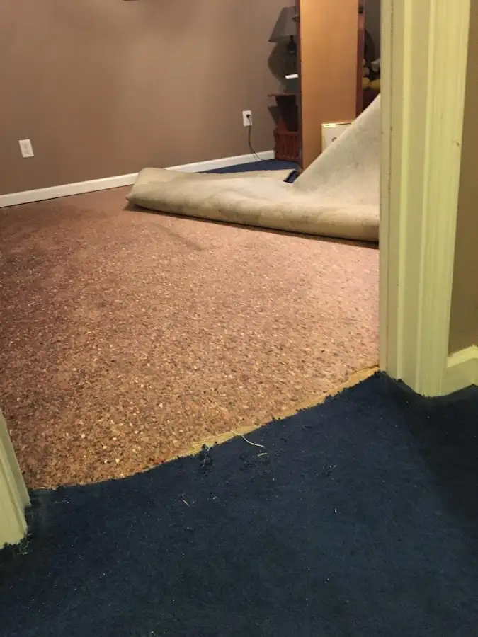 Carpet pad removal revealing water damage during Drying & Dehumidification in West Miami