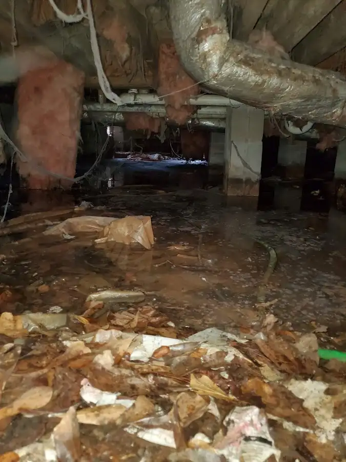 Crawl space flood assessment for Leak Detection & Repair in West Miami